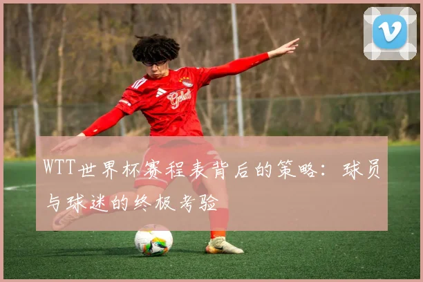WTT世界杯赛程表背后的策略:球员与球迷的终极考验