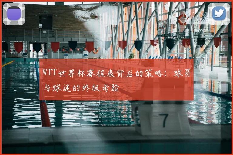WTT世界杯赛程表背后的策略:球员与球迷的终极考验