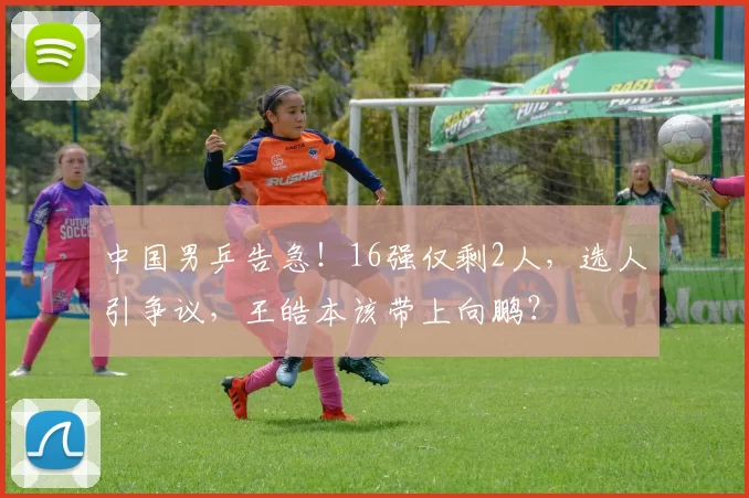 中国男乒告急!16强仅剩2人,选人引争议,王皓本该带上向鹏?