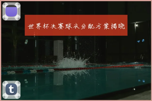 世界杯决赛球衣分配方案揭晓