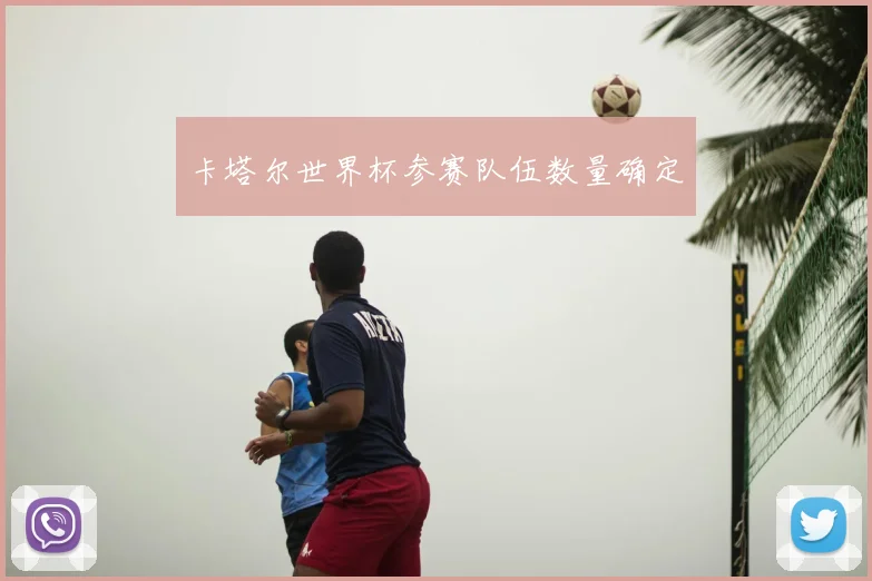 卡塔尔世界杯参赛队伍数量确定