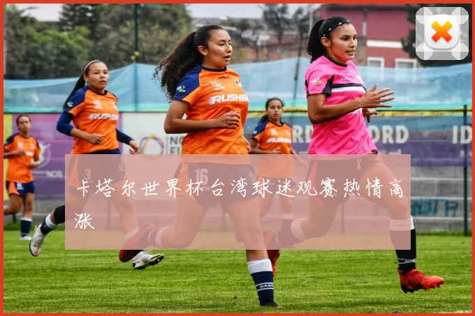 卡塔尔世界杯台湾球迷观赛热情高涨