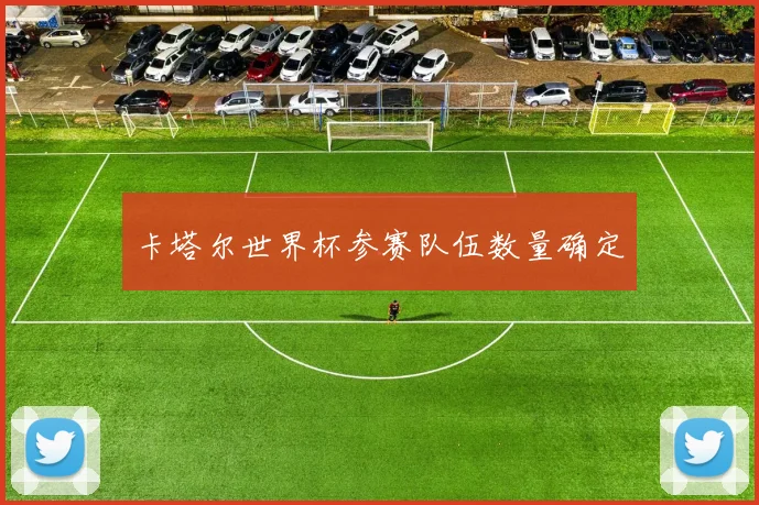 卡塔尔世界杯参赛队伍数量确定